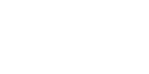 delior-automobile